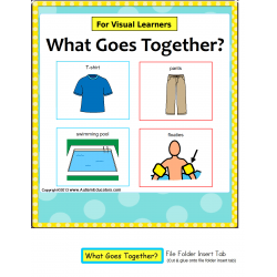 File Folder (SET OF 2) - What Goes Together {Autism/Special Education/Visual Learners}