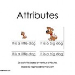 Attributes (Autism, Special Needs, Early Learning, Matching)