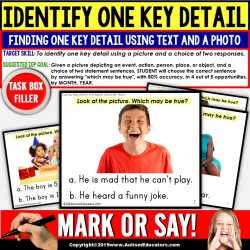 KEY DETAILS Reading Comprehension TASK BOX FILLER ACTIVITIES - Special Education and Autism Resource