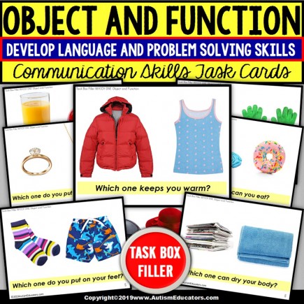  OBJECT and FUNCTION | Which one | TASK BOX FILLER Activities