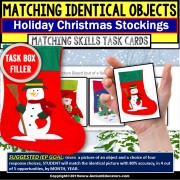 CHRISTMAS Identical Matching TASK BOX FILLER ACTIVITIES