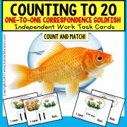 TASK CARDS for One To One Correspondence Counting To 20 for Autism TASK BOX FILLER