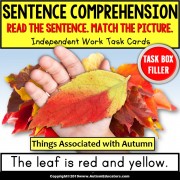 SENTENCE COMPREHENSION Things Associated with AUTUMN Task Cards TASK BOX FILLER
