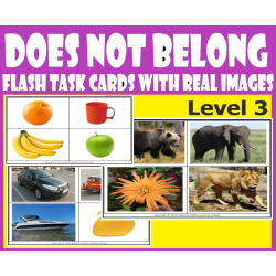 What / Which Does Not Belong Level 3 - Category Flash Task Cards with Real Images.