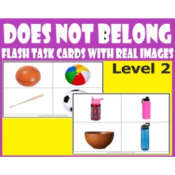 Which Does Not Belong  Level  2 - Flash Task cards with Real Images 