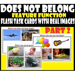 Which / What Does Not Belong - Feature Function Flash Task cards with real Images – Part 2.