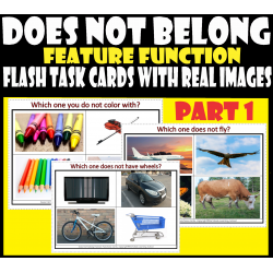 Which Does Not Belong - Feature Function Flash Task cards with real Images – Part 1.