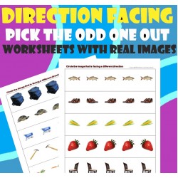 Direction Facing - Pick the odd one out - Worksheets with Real Images