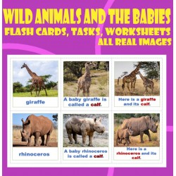 Wild animals and their babies– Flash cards, task cards, and worksheets - with real images.
