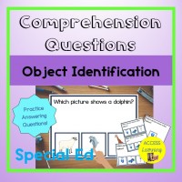 Comprehension Object Identification Questions Leveled Special Education