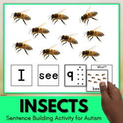 Bugs and Insects Building Sentences Activity with Real Photos