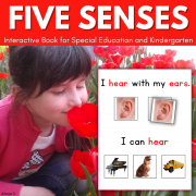Five Senses Adapted Book with Real Puctures