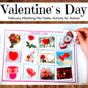 Valentine`s Day Matching File Folder Activity