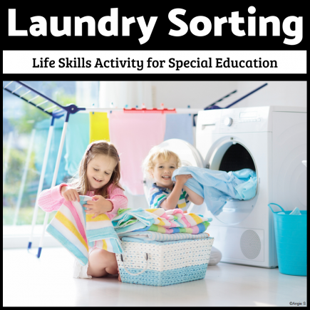 Laundry Sorting Life Skills for Autism