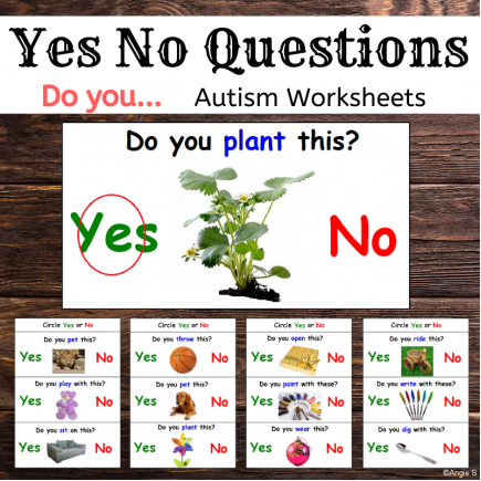 Yes No Questions (Do You...) Print and Go Worksheets