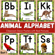 Animal Alphabet Posters with Real Pictures for Classroom Decor Set 1