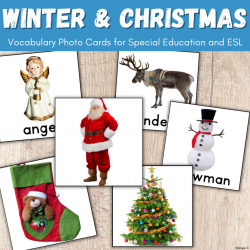 Winter and Christmas Vocabulary Cards for Autism and Special Ed, Speech Therapy