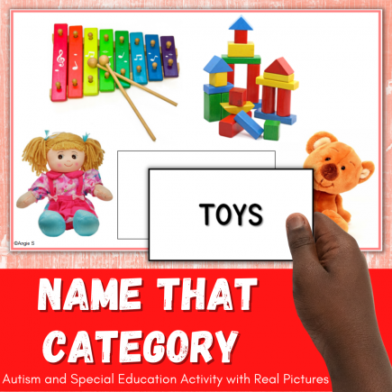 Name That Category | Categories Speech Therapy Activity