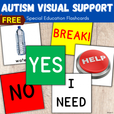 Autism Visual Support | Special Education Flashcards FREE