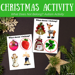 What Doesn`t Belong? Christmas Activity