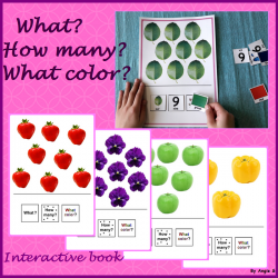 WHAT? HOW MANY? WHAT COLOR? Adapted Book for Autism - Book 2