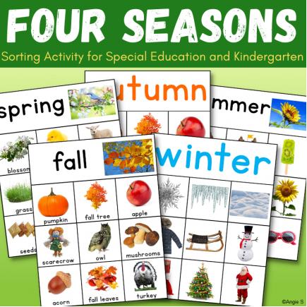Four Seasons Sorting - Spring, Summer, Fall/Autumn, Winter