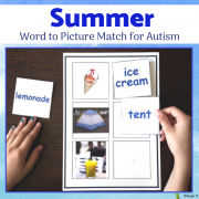 Summer Word to Picture Matching Activity