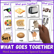 What Goes Together | Word Associations for Speech Therapy Set 1