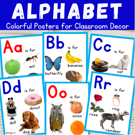 ALPHABET Posters with Real Pictures