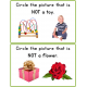 Negation Speech Therapy Worksheets - Identifying from a field of 2