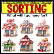 SORTING By Category Interactive Book ASSOCIATIONS with LOCATION for Autism