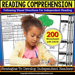 READING COMPREHENSION Following Visual Directions Worksheets for Key Details