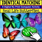 Special Education Distance Learning | Matching IDENTICAL Butterflies | NO PRINT