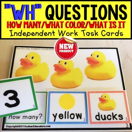 WH QUESTIONS Task Cards for NUMBER COLOR and OBJECT Task Box Filler Activities