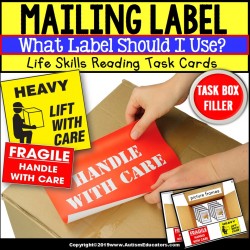 Is it HEAVY or FRAGILE Task Box Filler TASK CARDS