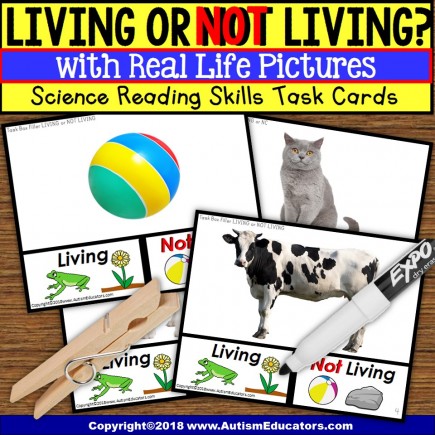 Living or Not Living TASK CARDS TASK BOX FILLER For Special Education