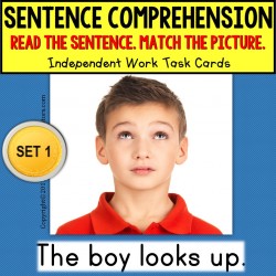 SENTENCE COMPREHENSION Task Cards for Autism and Special Needs Students TASK BOX FILLER