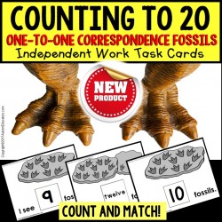 One To One Correspondence Counting To 20 DINOSAUR FOSSILS Task Cards for Autism TASK BOX FILLER