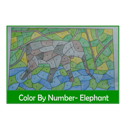 Color By Number Elephant Differentiated 3 Levels