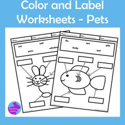 Pets Color and Label Worksheets Motor Skills OT
