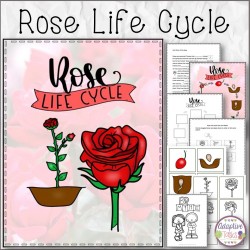 Rose Life Cycle