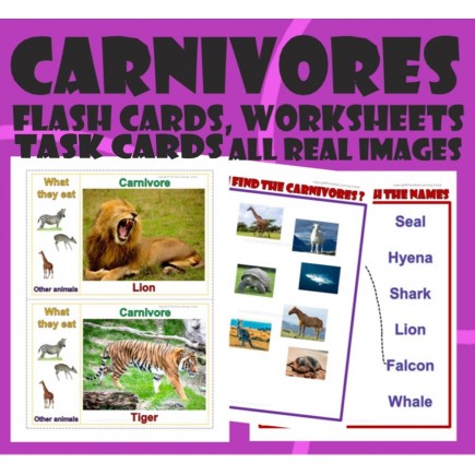 Carnivores Herbivores Omnivores Bundle-Flash Task cards, Worksheets-Real Images
