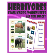 ANIMAL TYPES MATCHING GAME POSTERS FLASH CARDS CARNIVORE HERBIVORE OMNIVORE 