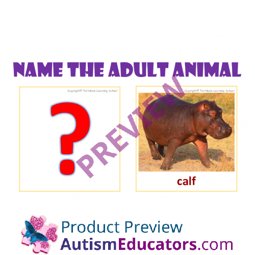 Wild animals and their babies– Flash cards, task cards, and worksheets -  with real images.