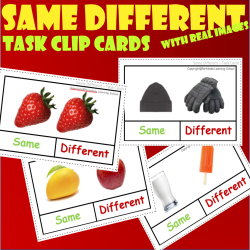 Same-Different Clip Task cards with Real Images