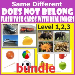 Which Does Not Belong Level  1 to 3 - Flash Task Cards with Real Images.
