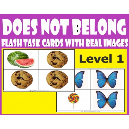 Does Not Belong Level 1 - Flash Task Cards with Real Images.