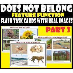 Which / What Does Not Belong - Feature Function Flash Task cards with real Images – Part 3.