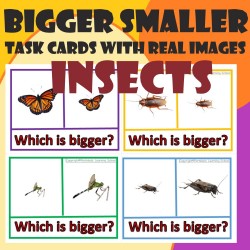 Insects - Which is bigger? Which is smaller? Task cards with Real Images