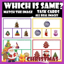 CHRISTMAS-Which is Same?- Match the image Task Clip cards with Real Images